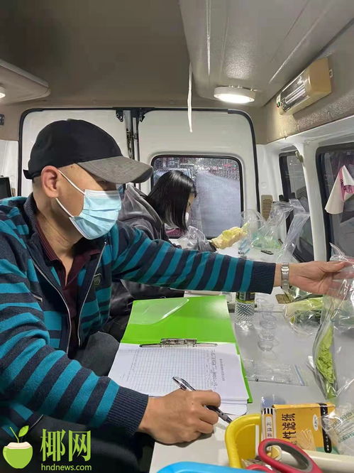 春節期間,?？跈z查各類市場主體1800余家次